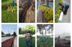 ساماندهی فضای سبز منطقه‌دو