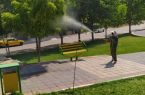 گلکاری تابستانه شهرداری منطقه هشت