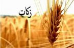 تحقق ۱۷۳ درصدی برنامه های زکات در نیمه نخست سال ۹۹