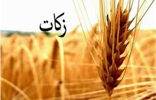 تحقق ۱۷۳ درصدی برنامه های زکات در نیمه نخست سال ۹۹