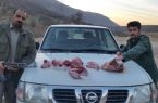 شکارچیان غیرمجاز در دالاهو دستگیر شدند