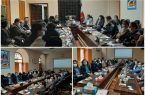 سیما و منظر شهر را برای نوروز شاداب میکنیم
