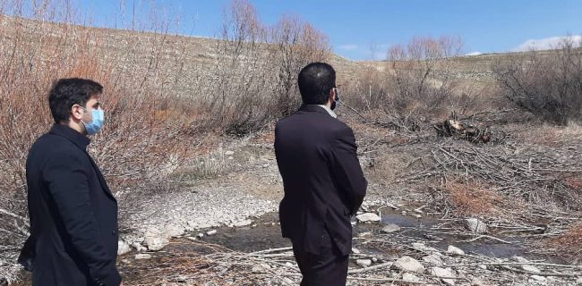 دستور دادستان سنقر برای برخورد قاطع با عاملین قطع درختان حاشیه رودخانه گاورود