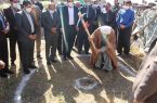 کلنگ ساخت ساختمان پزشکی قانونی شهرستان جوانرود زده شد