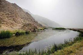 آموزش؛ حلقه مفقود محیط زیست