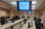 معلولین را باید در کنار سایر آحاد جامعه ببینیم و نیازهای شان مورد رسیدگی قرار بگیرد
