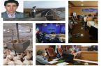 اقدامات اداره کل دامپزشکی استان کرمانشاه به منظور پیشگیری و کنترل بیماری آنفلوانزای فوق حاد پرندگان در سال ۱۴۰۰