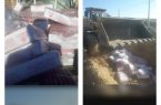 توقیف ۵۰۰ کیلوگرم جگر مرغ فاقد گواهی حمل بهداشتی، قرنطینه ای در شهرستان قصر شیرین