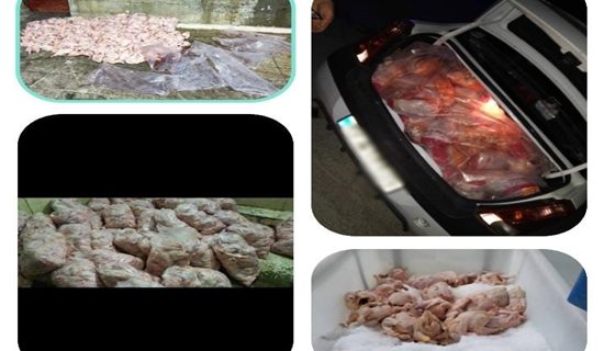 کشف و امحاء بیش از ۲۰۰۰ کیلوگرم مرغ و آلایش غیرقابل مصرف در شهرستان کرمانشاه