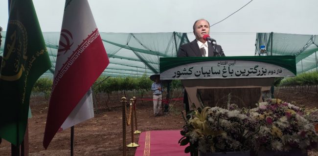 رونمایی از فاز دوم بزرگترین باغ سایبان کشور در کرمانشاه با حضور وزیر جهاد کشاورزی