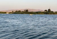 فریاد بی صدای سراب نیلوفر