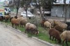 تا شدیم آنچه که هستیم