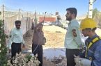 جمع آوری 640 مورد انشعاب غیرمجاز در برق مرکز کرمانشاه