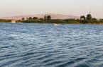 فریاد بی صدای سراب نیلوفر