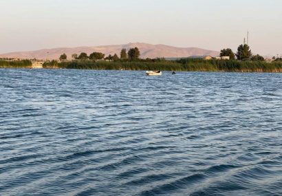 فریاد بی صدای سراب نیلوفر